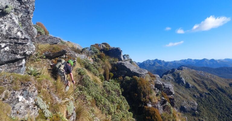 Advanced Hiking Trails Near Punakaiki