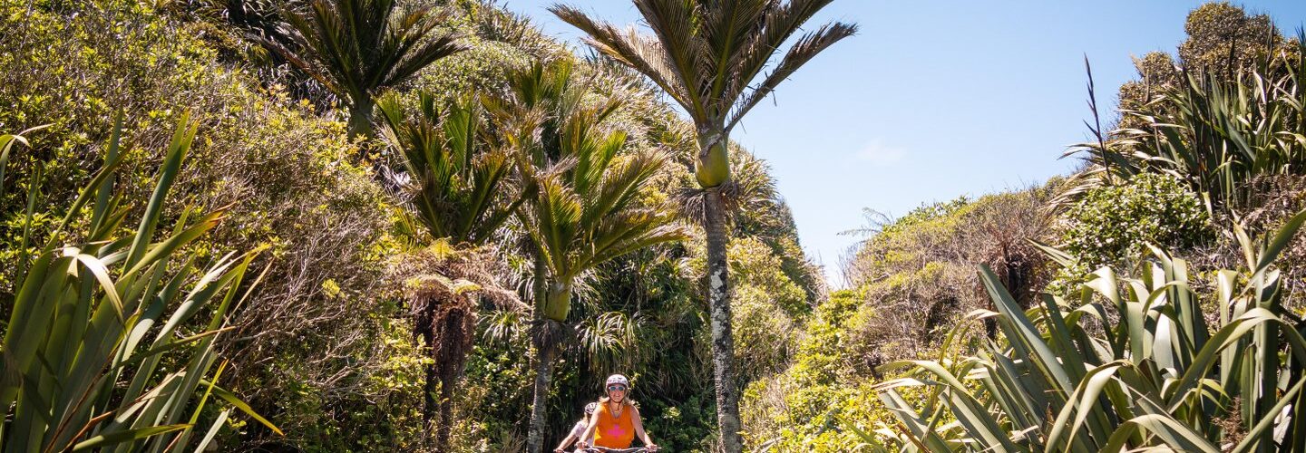 Craft Your Perfect Punakaiki Journey